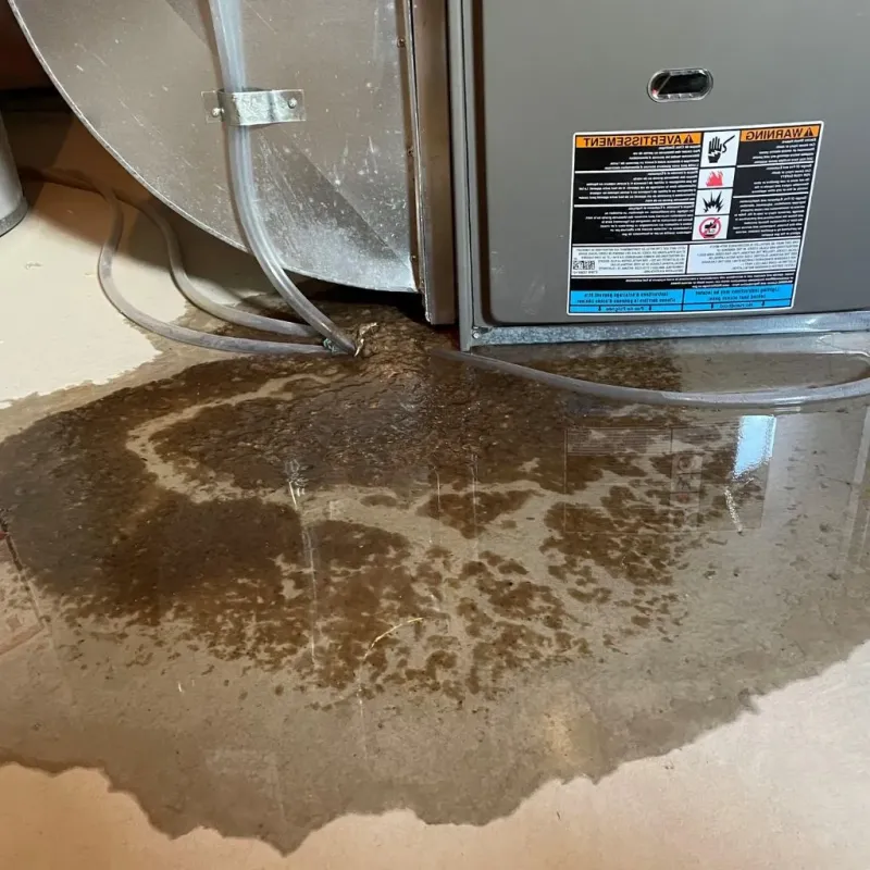 Pipe Burst and Leak Restoration in Terre Hill, PA
