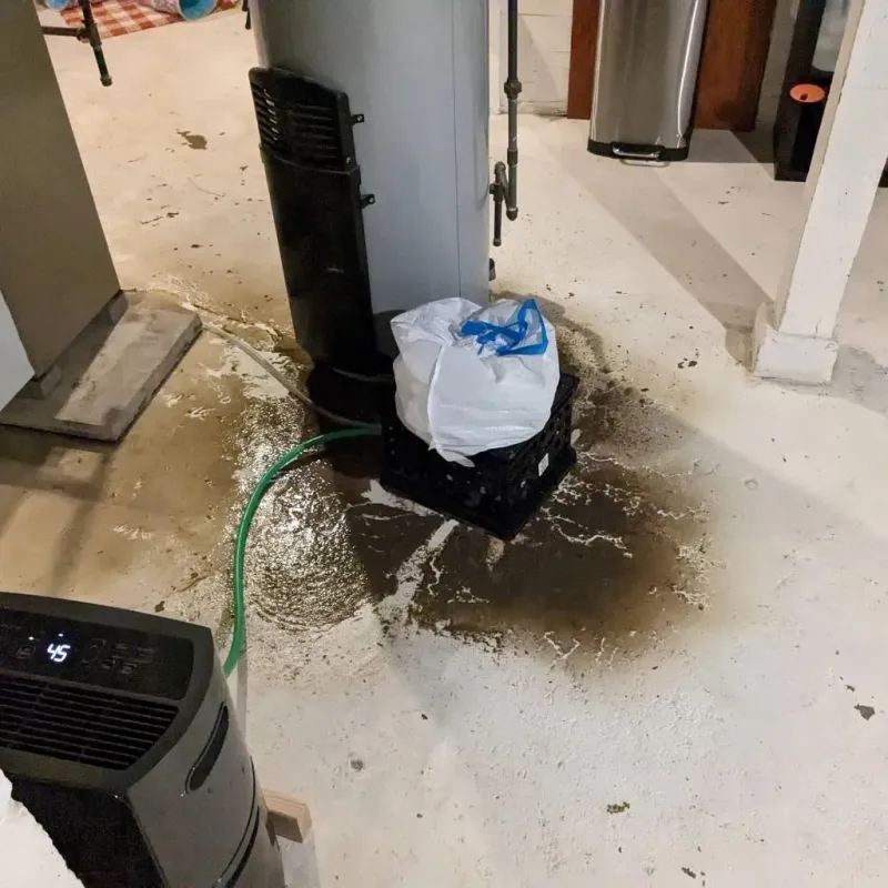 Sewage Backup Cleanup Service in Terre Hill, PA